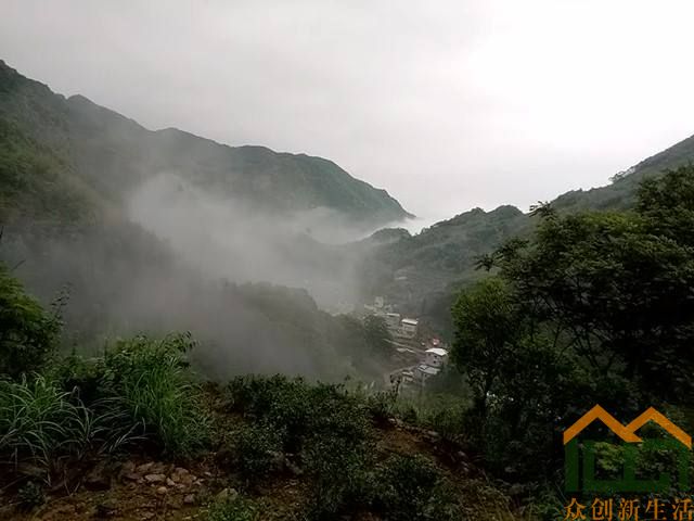 雾中的茶乡